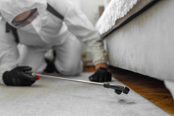 Professional Bed Bug Control technician working in Haltom City, TX