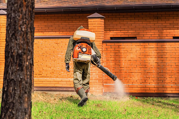 Trusted Mosquito Control service in Haltom City, TX - Nex Pest Control